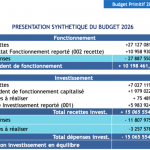 Budget Primitif 2026 : des ambitions à la hauteur des enjeux écologiques et municipaux ?